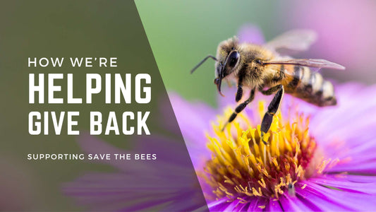 Saving the Bees