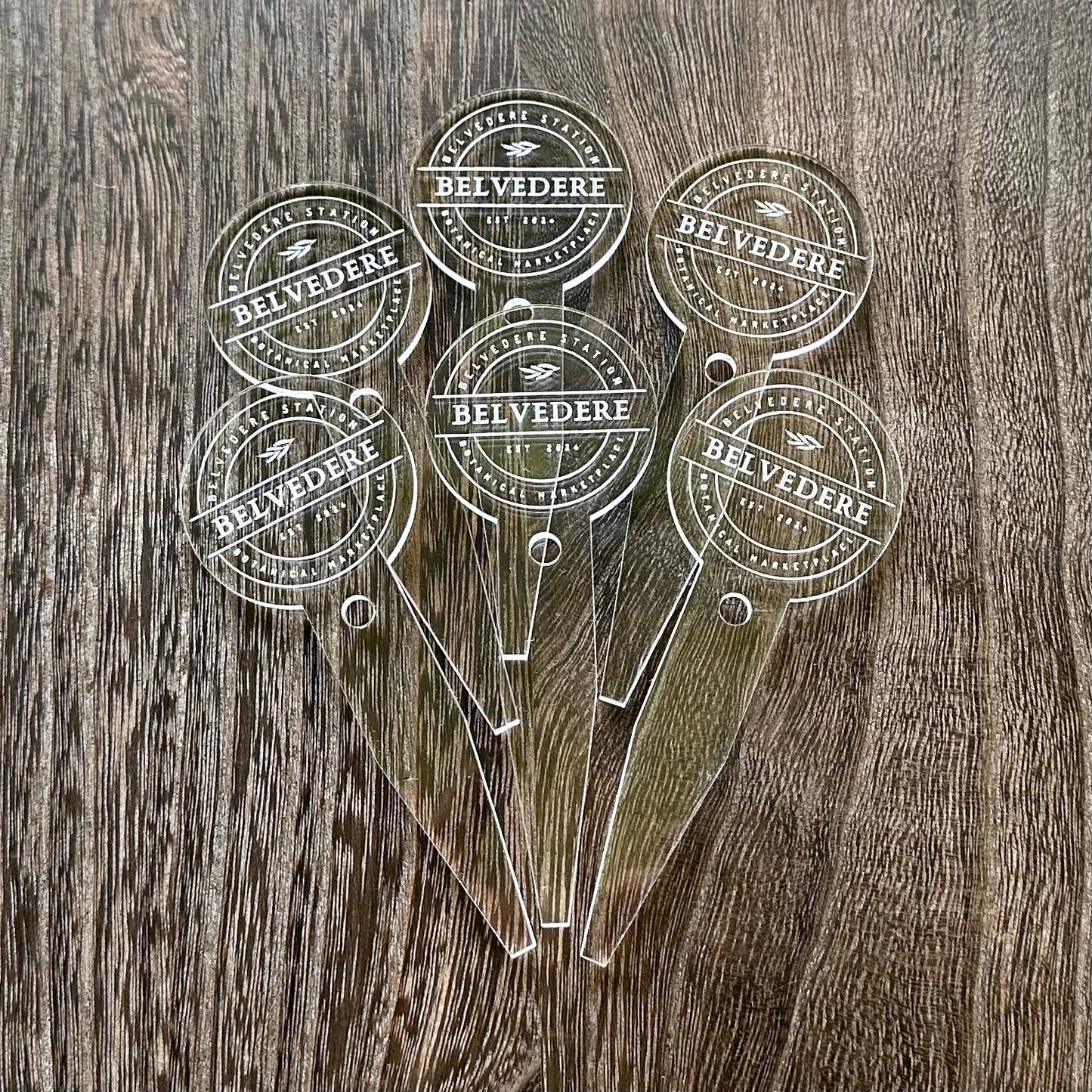 Custom Logo Plant Pricing Stake for Small Business, Plant Store, Garden Shop, Bulk Pricing